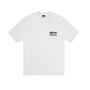 Stussy Pigment Dyed DNA Tee Natural